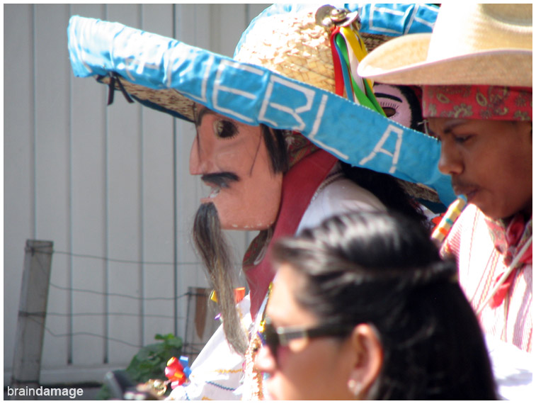 Sombrerudos Puebla