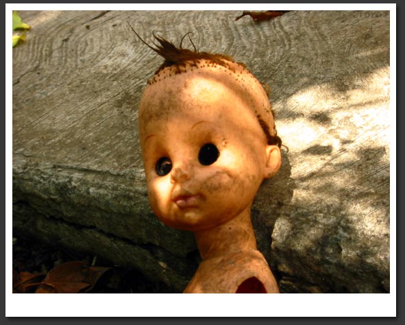 Abandoned Doll